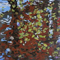 Sabbath Tree Reflections